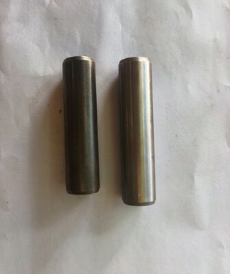 495AG Dizel Motor Yedek Parçası - Giriş Valf Kılavuzu - 495A-01015